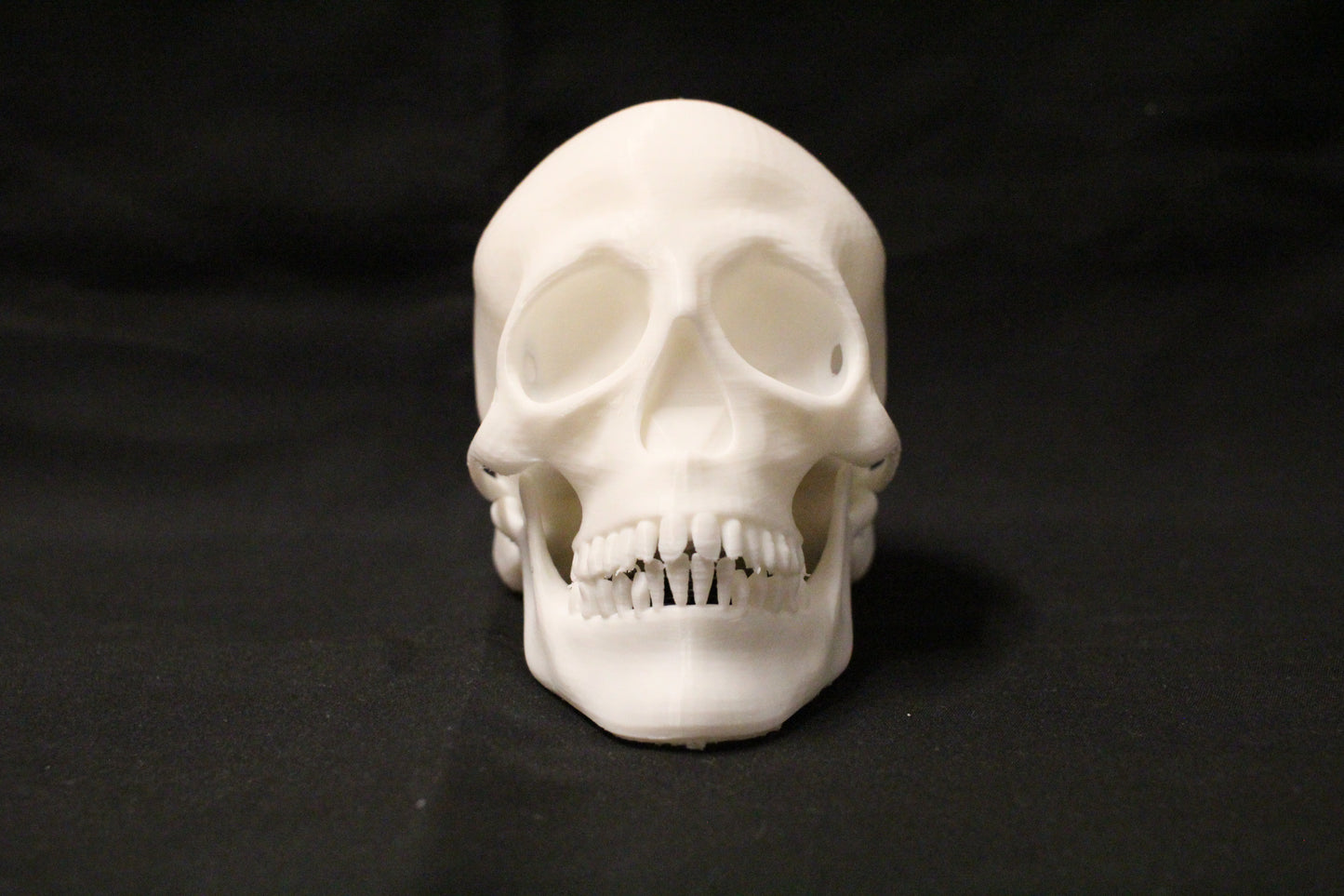Skull