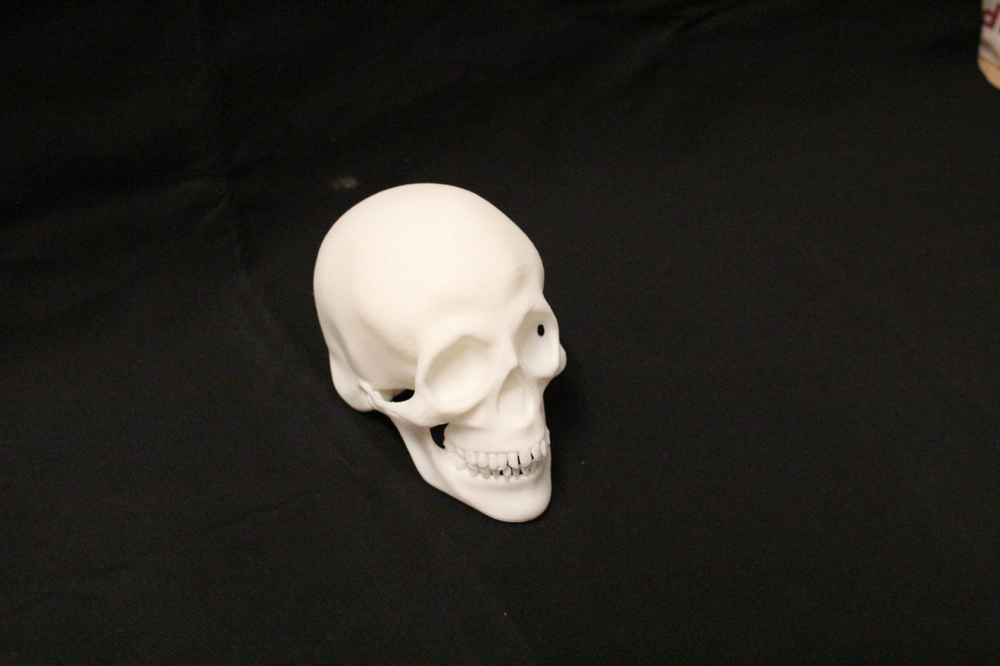 Skull