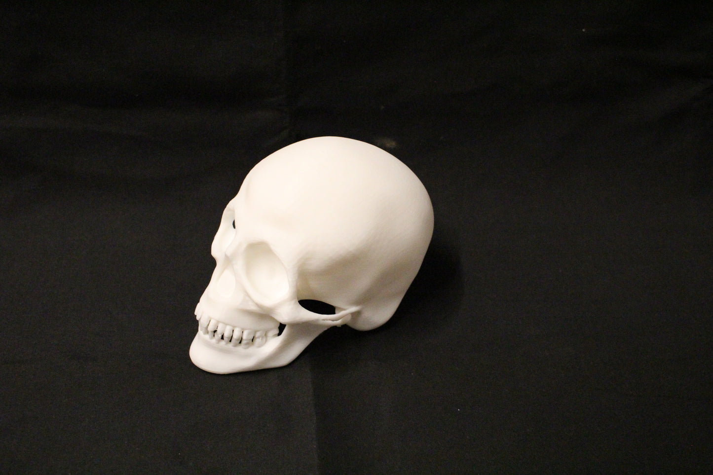 Skull